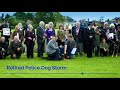 Retired Police Dog Storm 18 of 25 ERPD Ceremony 1 Oct 17
