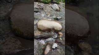 おっさんの川遊び　シーズン１