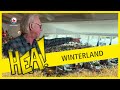 HEA! Winterland