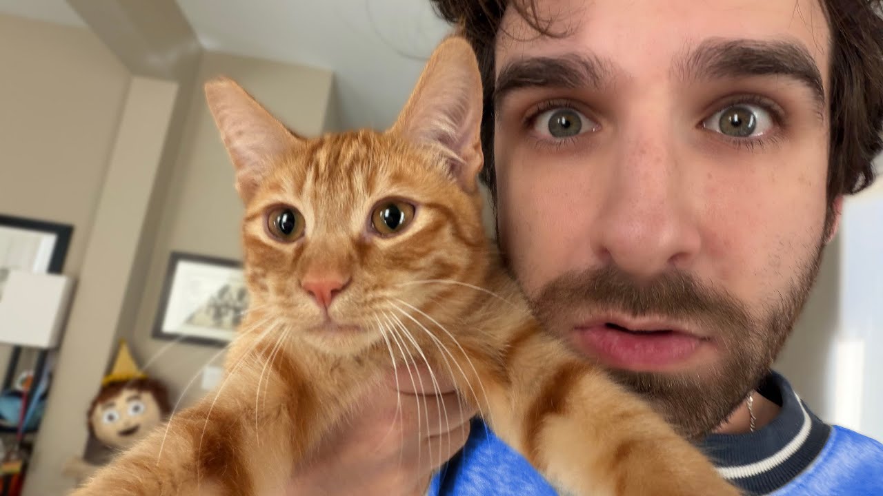 LETS TALK ABOUT IT ALL...