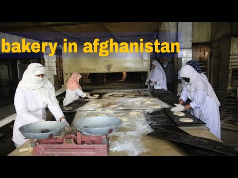 Bakery cooking | AL Madina Bakery | Jalalabad Afghanistan