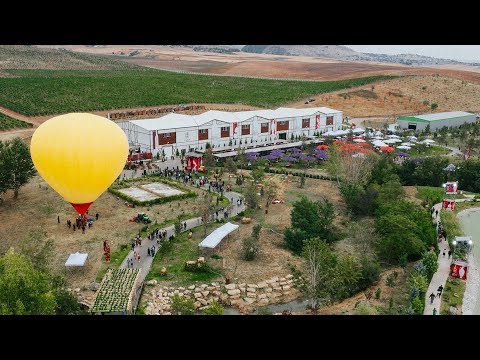 Azərbaycanda ilk Üzüm və Şərab Festivalı