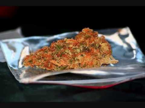 THE FACULTY  "Its Logic" video    Ei8trak and LYFE