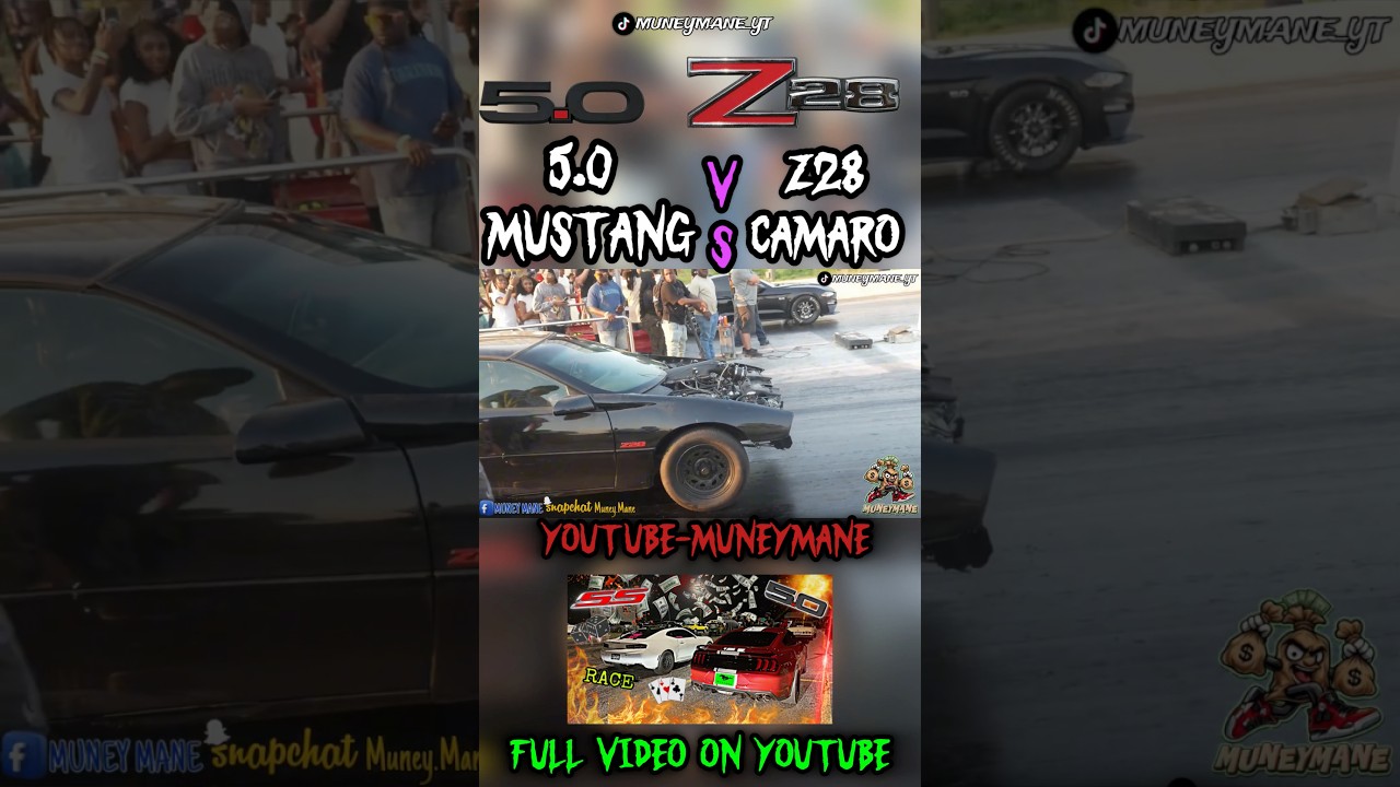 Z28 Camaro vs 5.0 Mustang #shorts  #mustang  #racing  #viral