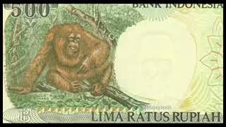 Download lagu Gambar Monyet Di Uang 500 Bisa Berbicara mp3 Download lagu Gambar Monyet Di Uang 500 Bisa Berbicara mp3