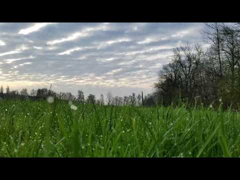 A Morning in Germany