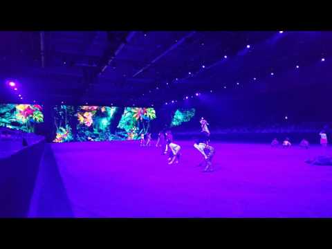 Hop Top Show 2017 - Team NORKA des VV Köln-Dünnwald