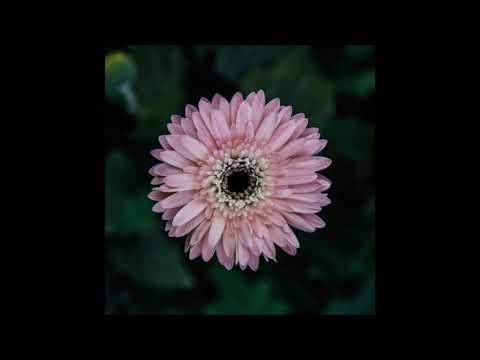 137. Blanco Billions - Since I Met You [18.04.2018]