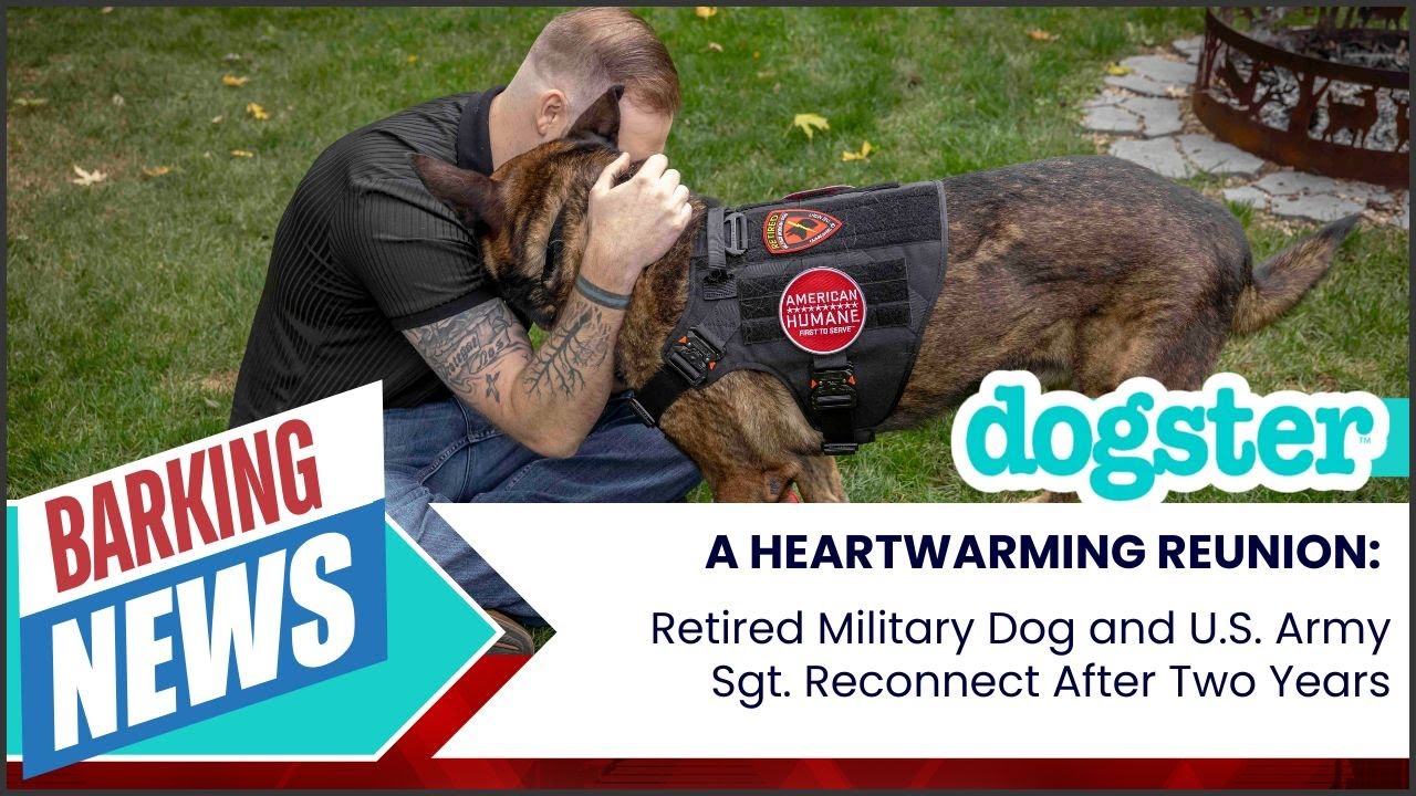 Hero Military Dog & U.S. Army Sgt. Reconnect After 2 Years | Barking News!