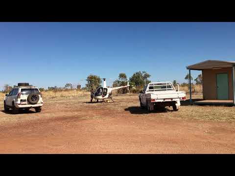 Pigeon Hole cattle drafting NT 2020