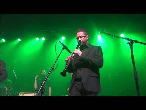 Milan Kreslin in Vlado Kreslin & Mali bogovi - TIsti bejli grm