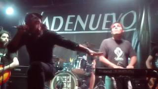 Demian - Free forever