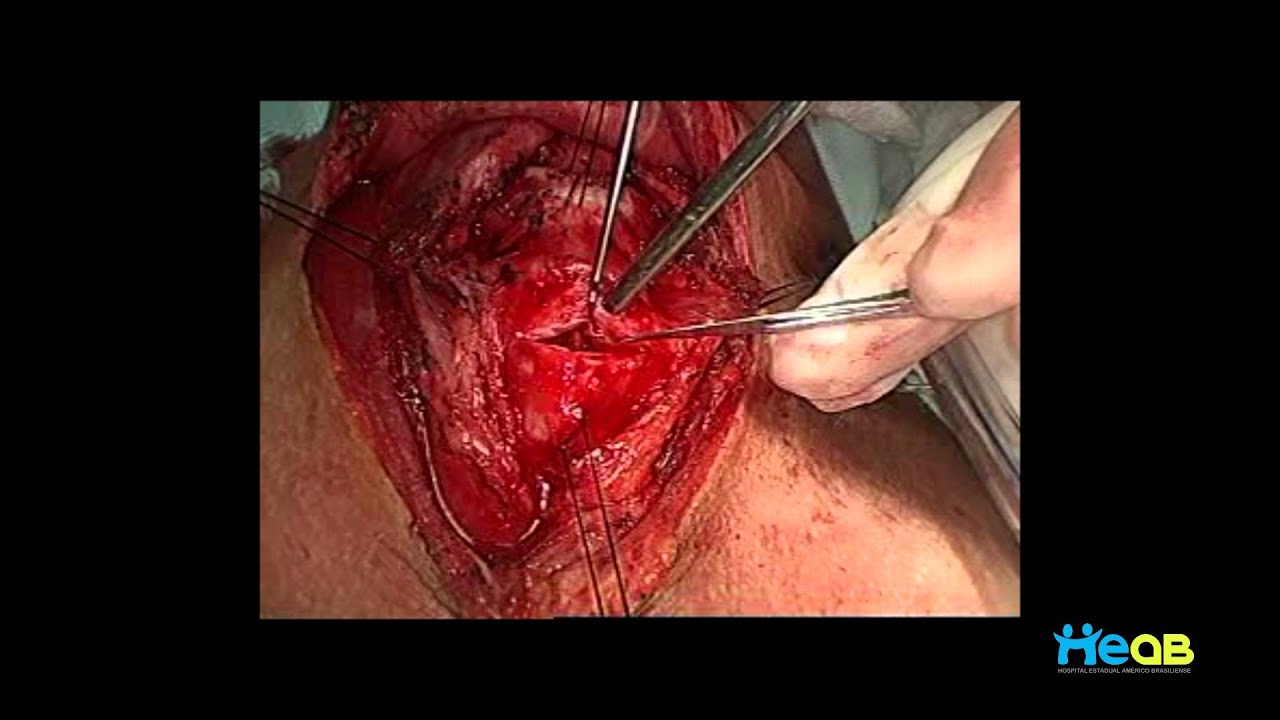 Tales Rubens De Nadai-20