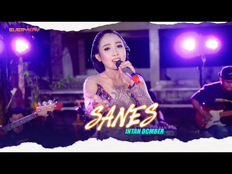 SANES - INTAN DCMBR  ft  EVERYKAY  LIVE MUSIC