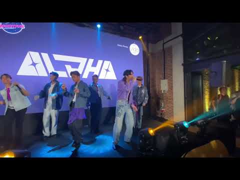 Alpha - Bujang 