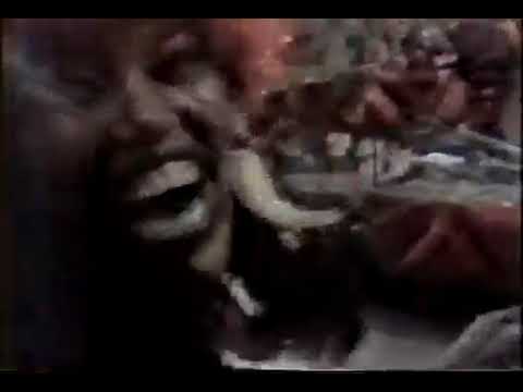 Beija-flor 1984 e 1985 Melhores momentos Rede Manchete