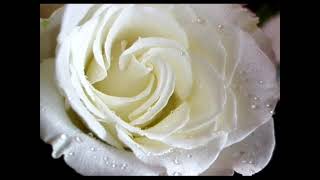 Confesión - Los Temerarios - Letra