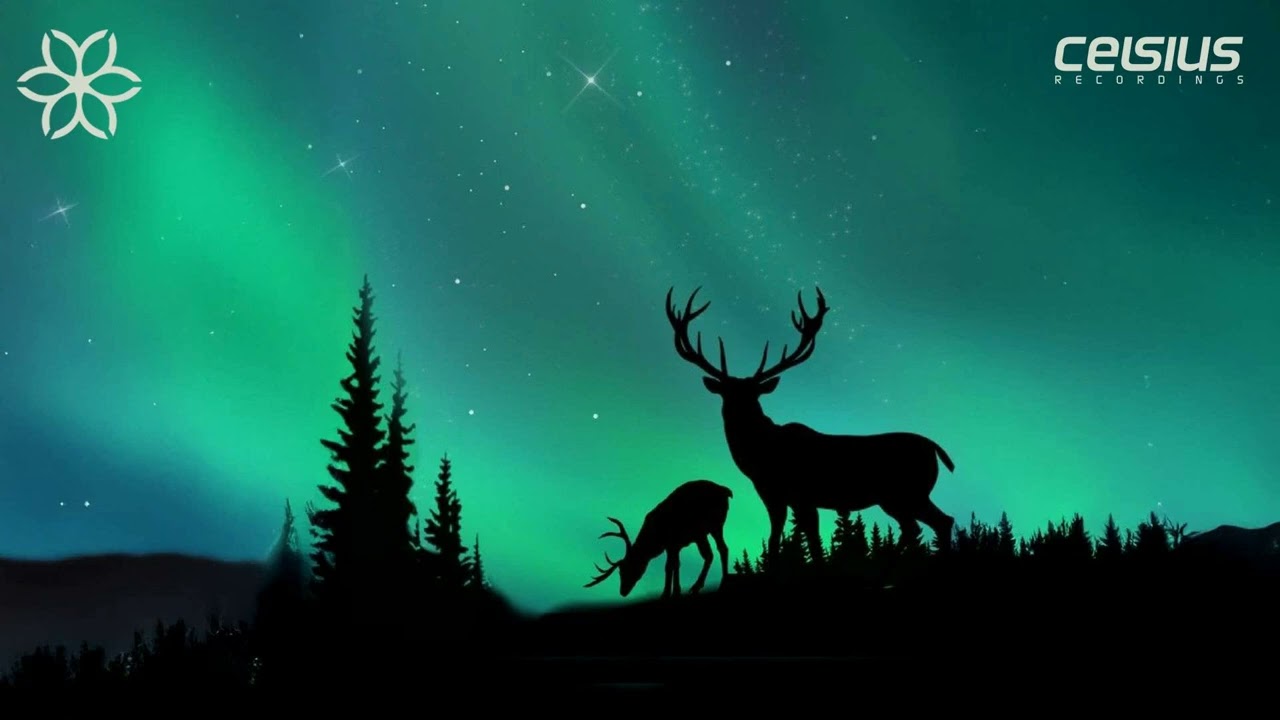 Oversight - Mermaid Beach