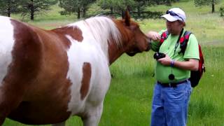 Wild Horse Island State Park on Flathead Lake in Montana
