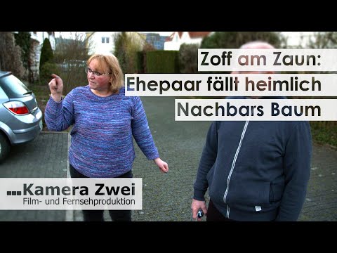 Ärger am Gartenzaun: Nachbar sägt heimlich alte Esche ab | Kamera Zwei