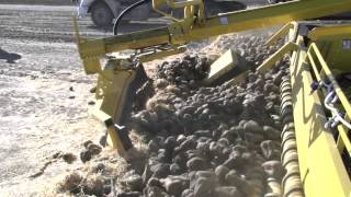 preview picture of video 'Ropa EuroMaus 4 cleaning loader for Sugar Beets Bridgeport Nebraska'