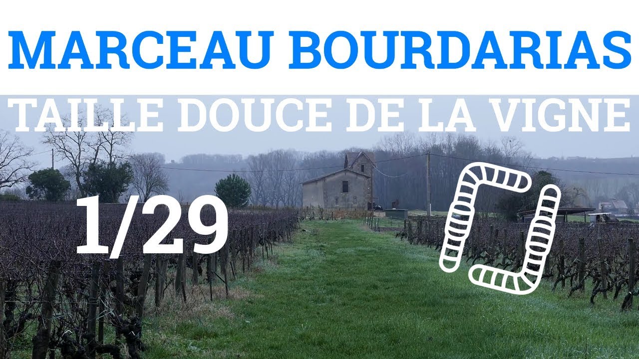 1/29 - M. BOURDARIAS - Taille Douce de la Vigne - Introduction