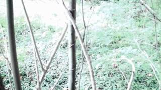 Ella Blame &quot;Slippery Slope&quot;