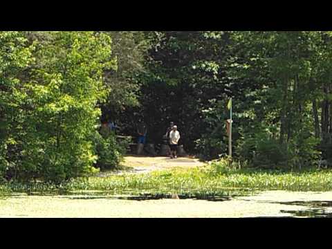 Maple Hill Open - 2014 - Disc Golf ACE - Dave Jenkins - Dutch Napier