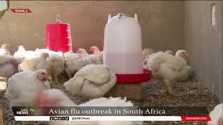 Concerns over lethal avian flu outbreak in SA
