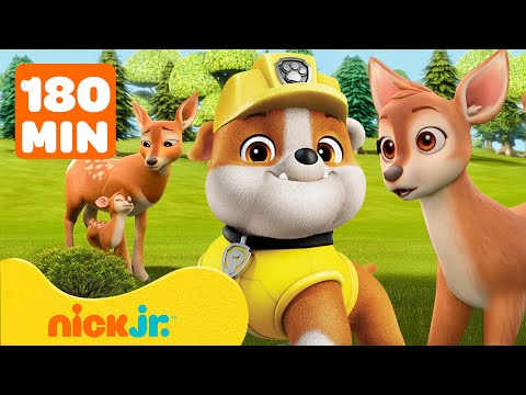 Psi Patrol - sezon 8 - odcinek 10 - Rubble i Ekipa ratują zwierzęta w Budowlanym Miasteczku!