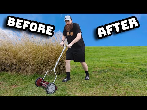 I Bought The CHEAPEST Lawn Mower From Amazon!