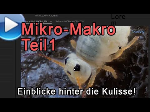 Mikro-Makro, Teil 1: Extreme Einblicke hinter die Kulissen!