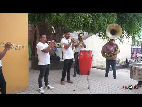 Banda Tierra Linda ● Las Mañanitas (En Vivo) - Desde La Pe, Ejutla