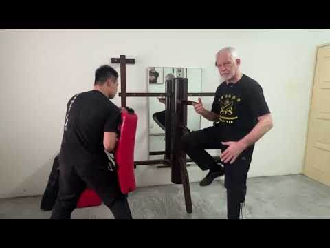 WSL Ving Tsun Kuen Hok - breaking it down #11 - Ving Tsun Kicking (Pt.2)