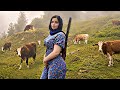 Iran Village Life A Peaceful Day In The Mountains And Rural Girl Routine