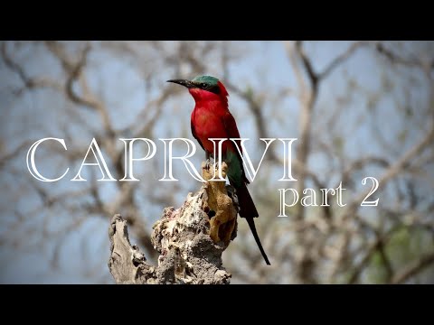 Caprivi part 2