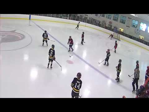 EYHA Squirt Knights vs CAHA Squirts Avalanche