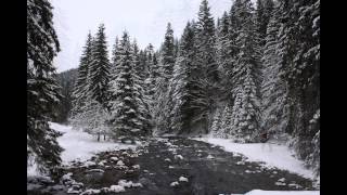 preview picture of video 'Dolina Kościeliska - zimą'