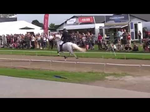 Frami von St. Oswald, WC15PP1 1