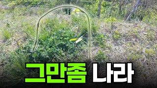 지긋지긋 하네 그만좀 나라