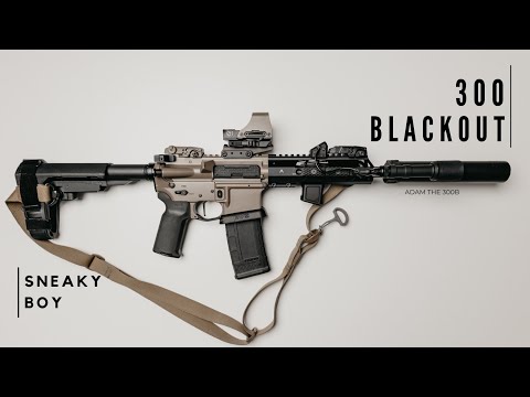 300 AAC Blackout: Die leiseste Waffe, die ich besitze