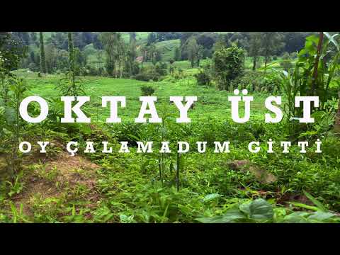 Oktay Üst - Oy Çalamadum Gitti [Aşka Düşen Divane © 2022]