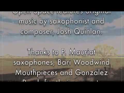 Josh Quinlan Quartet; Open Space (2013 Dazzle Recordings)