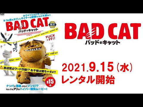 映画『バッド・キャット』予告編