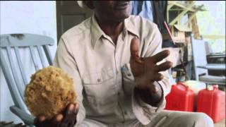 The Morning of Creation (1946 - 1980)