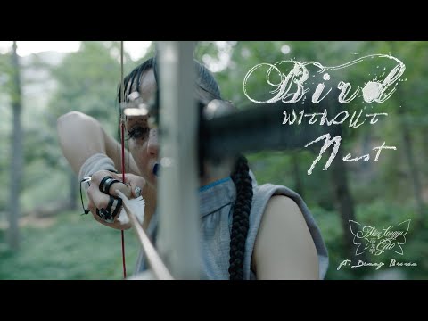 Video thumbnail for Bird W/O Nest
