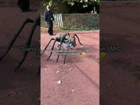 Quand WaIibi décide de lâcher un SMIC dans le robot araignée
