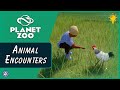 Planet Zoo Animal Encounters Tutorial - How to Create Petting Zoos