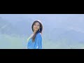 Loukyam Gopichand Rahul Preet Song HD