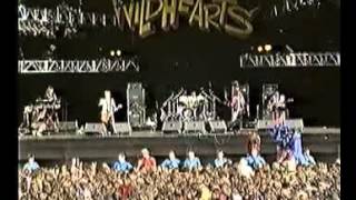 The Wildhearts Live at Donington + Reading 1994